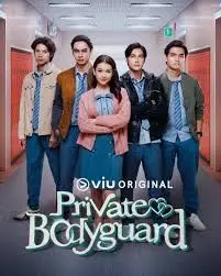 《私人保镖》：铁汉柔情，守护爱情的致命浪漫喜剧之旅